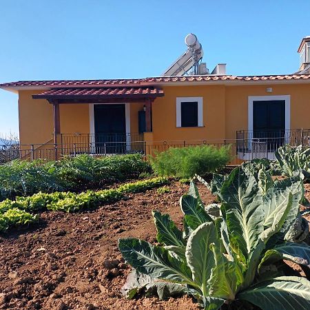 Casa Vacanze Il Frutteto Massa Lubrense Bagian luar foto