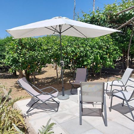 Casa Vacanze Il Frutteto Massa Lubrense Bagian luar foto