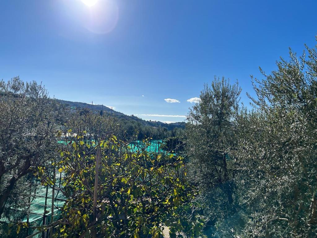 Casa Vacanze Il Frutteto Massa Lubrense Bagian luar foto